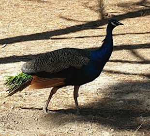 Die Bevölkerung des Bergs