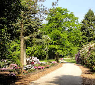 Impressionen vom Rundweg durch den Park