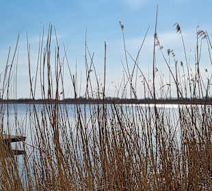 Strand Horst/Niechorze