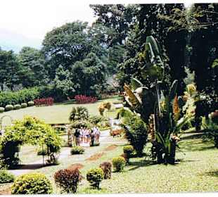 Royal Botanic Garden in Peradeniya