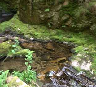 Wasserfälle Allerheiligen
