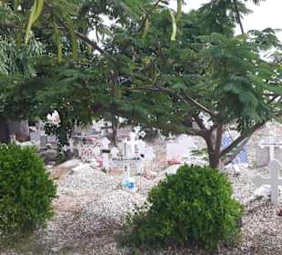 Und wieder alles aus Muscheln bestehend