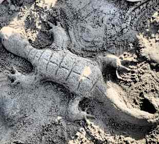 Hotel Nordeste Playa