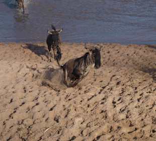 Direkt auf uns zu und dann Haken geschlagen