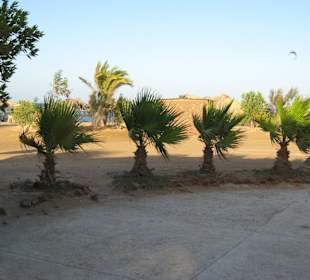 Zeytona-Beach