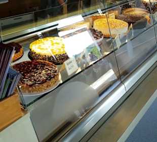 Schlosscafé im Rosengarten