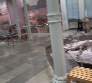 Staatliches Naturkunde Museum