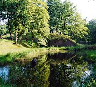 Głęboka fosa