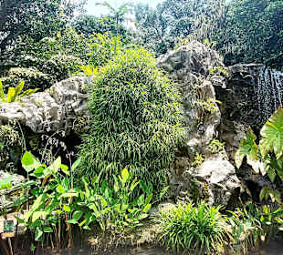 Wasserfall