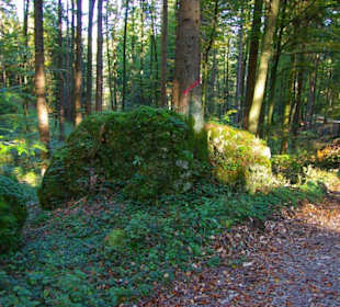 Wanderung zum Signalstein Fränk.Schweiz