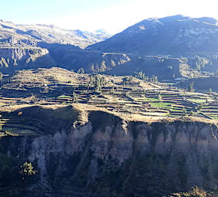 Colca-Canyon
