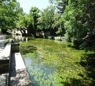 Rundgang durch die Altstadt