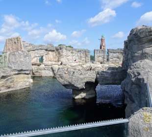 Eisbären-Gehege im Zoo am Meer