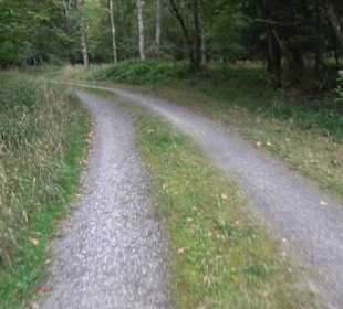 Altwege Rundwanderung Bebenhausen