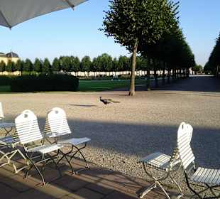 Blick von unserer Kaffeetafel Rtg. Park