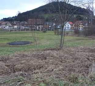Schelkle Wiesen