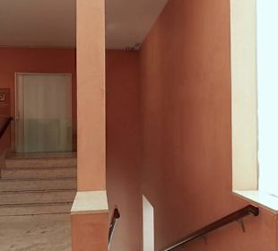 Museo Thyssen-Bornemisza