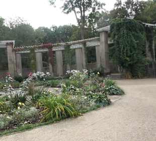 Großer Tiergarten