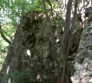 Burg Hohenerpfingen Erpfingen