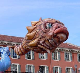 fliegender Fisch