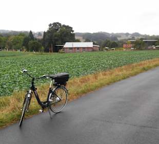 Kurpark Bad Oeynhausen und die Umgebung