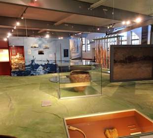 Archäologische Sammlung des Küstenmuseums