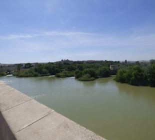 Blick von der Brücke