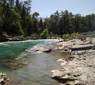 Fluss aus einer Quelle ım Berg