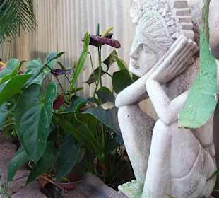 Orchidearium Madeira