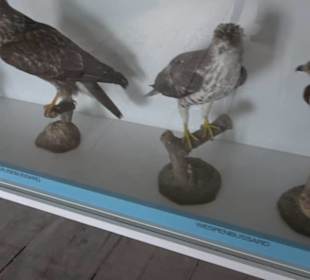 Museum Rosenburg