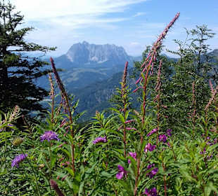 Wilder Kaiser