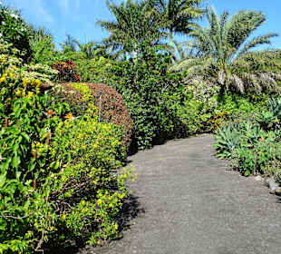 Rundgang durch den Botanischen Garten der Domaine
