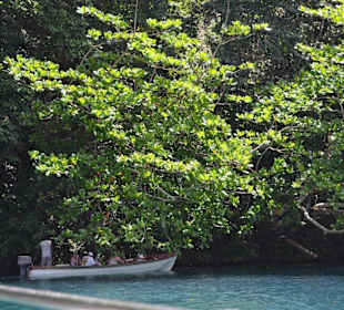 Голубая лагуна