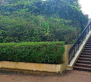 Mount Faber Point