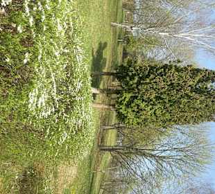 Frühling auf dem Vormarsch im 16.000qm Hauspark 