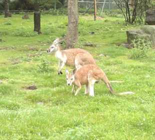 Zoo Olomouc