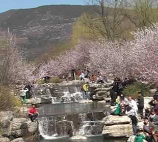 Wasserfall Botanischer Garten Bejing