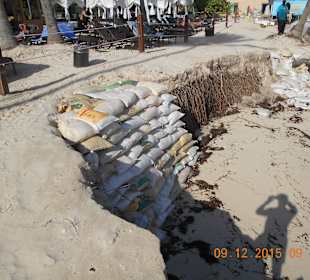 Unser Strand sah zum Glück nicht so aus