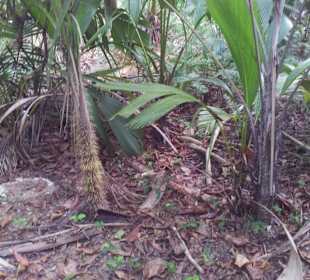 Ausflug mit Mario von Edelweiss Tours