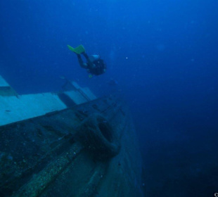 Tauchen in Boca Chica mit Caribbean Divers