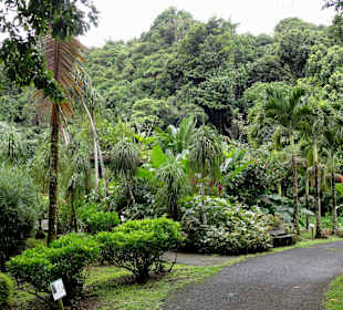 Impressionen aus den Jardins de Valombreuse
