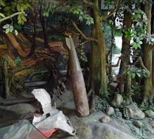 Urwalkrieg, konnten die Amis nicht gewinnen