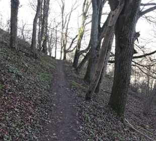 Wanderweg zur Achalm