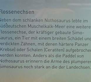 Hinweistafel für Flossenechsen