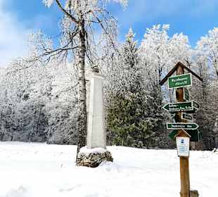 Wandern Neuhaus am Rennweg
