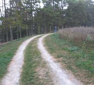 Erlebnisbauernhof und Wildgehege