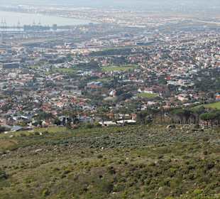 Tafelberg