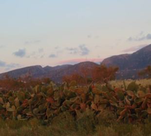 Sonnenuntergang am Strand von Malia