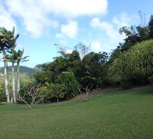 Phantastischer Blick auf die Ostküste von Barbado