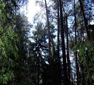 Wanderung zum Wasserfall